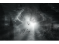 Détails : - Nox -